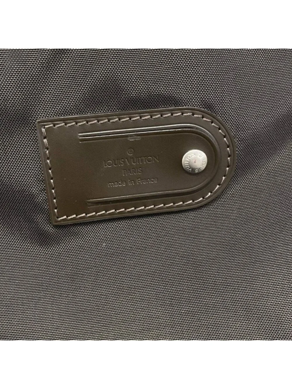 Louis Vuitton Travel Bag Taiga Pegase 50 Grizzly Leather